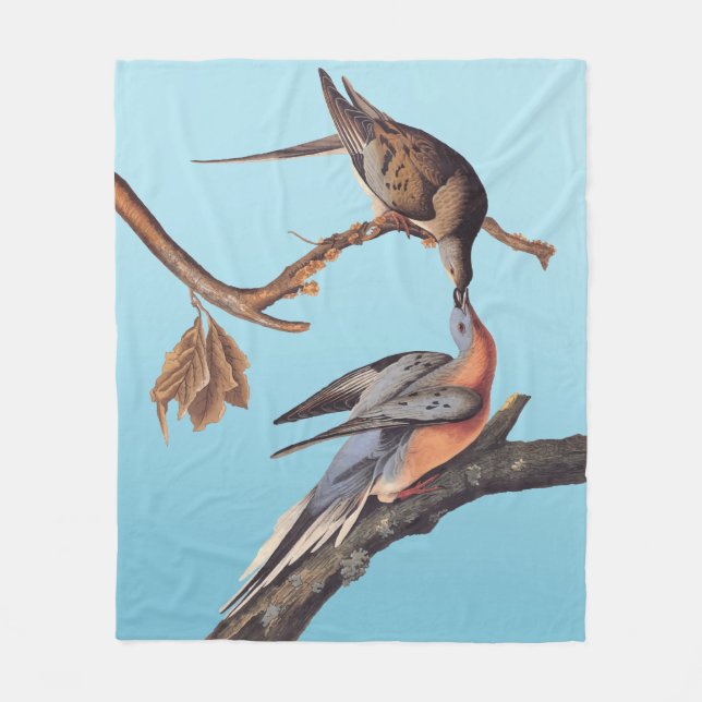 Couverture Polaire Paire Audubon de baiser des pigeons voyageurs (Devant)