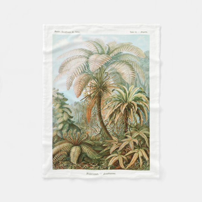 Couverture Polaire Palm Tree Ernst Haeckel (Devant)