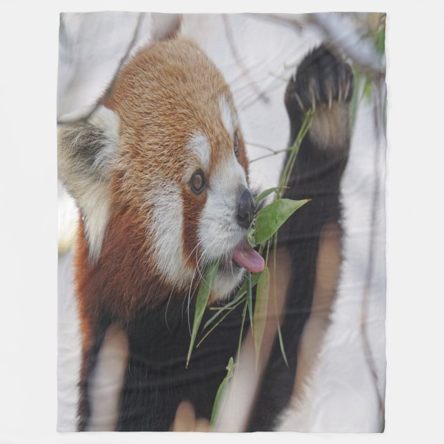 Couverture Polaire Panda rouge affamé (Devant)