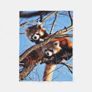 Couverture Polaire pandas rouges