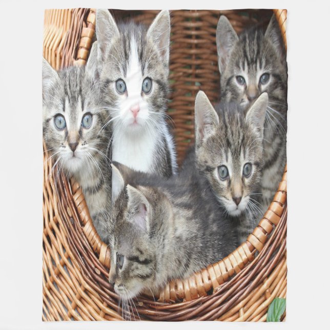 Couverture Polaire Panier rempli de chatons (Devant)
