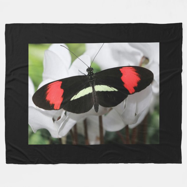 Couverture Polaire Papillon long (Devant (Horizontal))