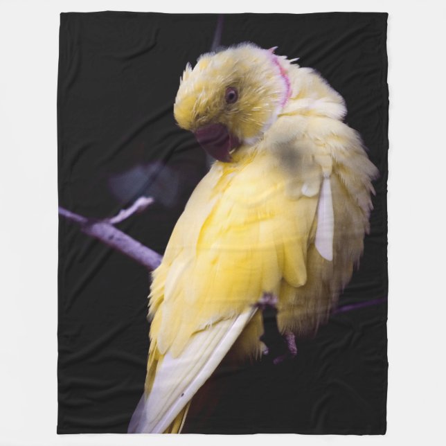 COUVERTURE POLAIRE PARAKEET JAUNE (Devant)