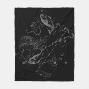 Couverture Polaire Passez au bichromate de potasse comme Poissons que