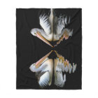 Pélicans 1 de l'Australie