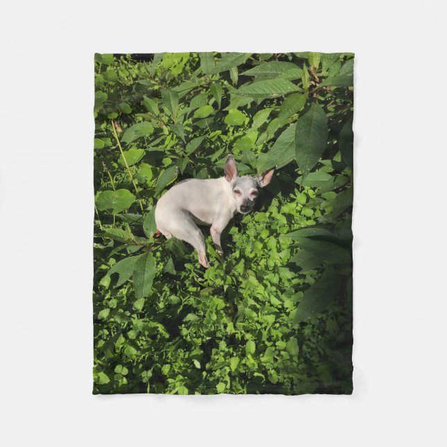 Couverture Polaire perle nymphe jardin (Devant)