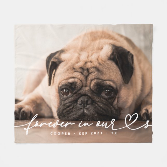 Couverture Polaire Pet Memorial Forever Hearts Simple Photo moderne (Devant (Horizontal))