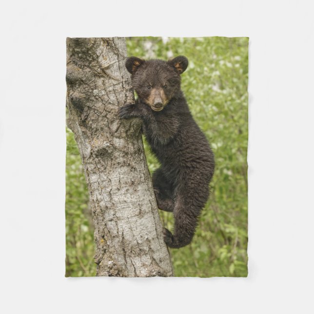 Couverture Polaire Petit Ours noir dans l'arbre (Devant)