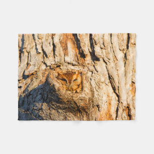 Couverture Polaire Petite chouette des terriers orientale