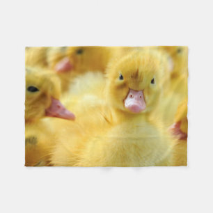 Couverture Polaire Petits canards
