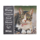 Photo commémorative de l'animal de compagnie