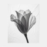 Photographie d'art botanique monochrome fine
