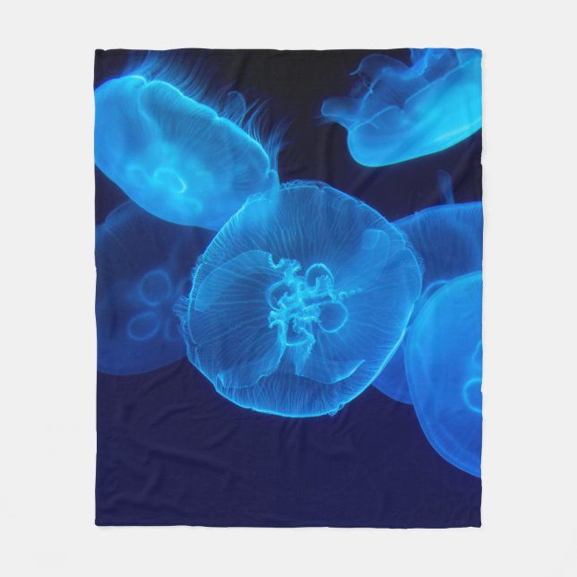 COUVERTURE POLAIRE PHOTOGRAPHIE DE CLOSEUP DE SWARM DE JELLYFISH (Devant)