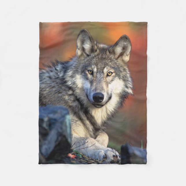 Couverture Polaire Photographie de loup (Devant)