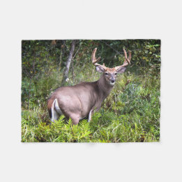 Couverture Polaire Photographie de Whitetail Buck