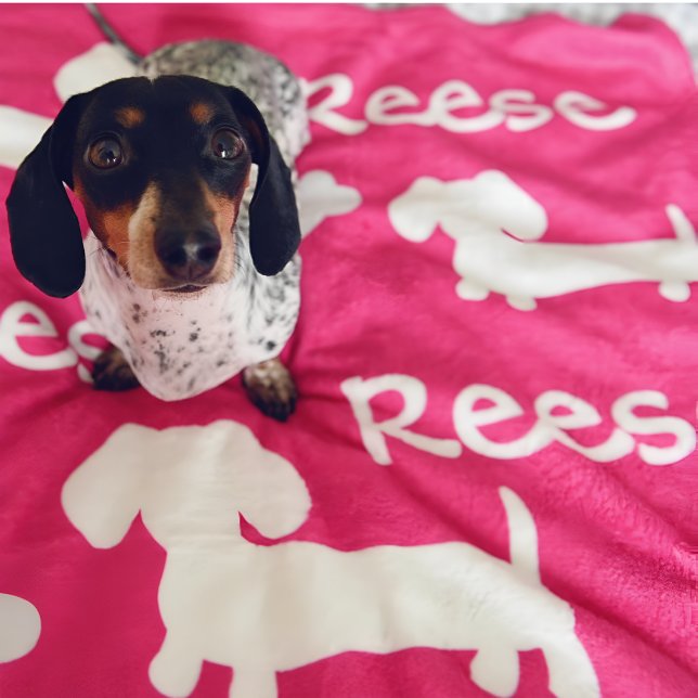 Couverture Polaire Pink Dachshund Wiener Dog Blanket Nom de la Person (Personalized dachshund blanket - add your doxies name and favorite color)