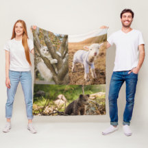 plaid de photos d'animaux mignons