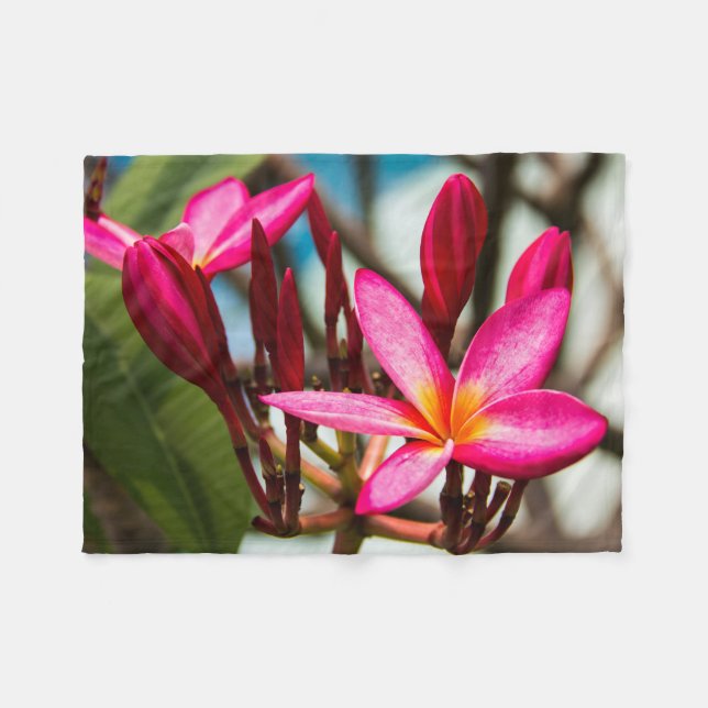 Couverture Polaire Plumeria arrière - plan de fleurs exotiques (Devant (Horizontal))