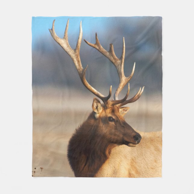Couverture Polaire Portrait d'un bull (Devant)