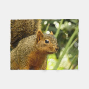 Couverture Polaire Portrait d'un écureuil Nature Animal Photographie