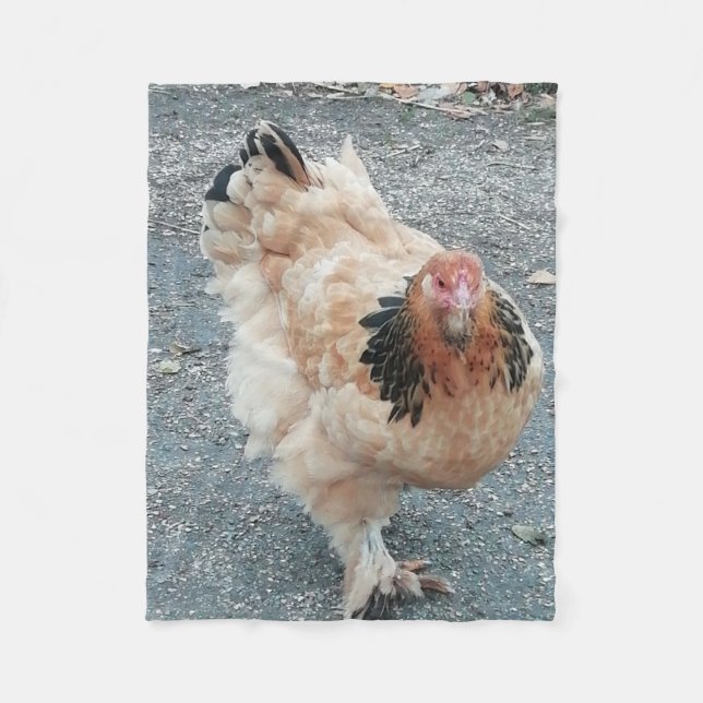 Couverture Polaire Poulet de Brahma prenant une balade (Devant)