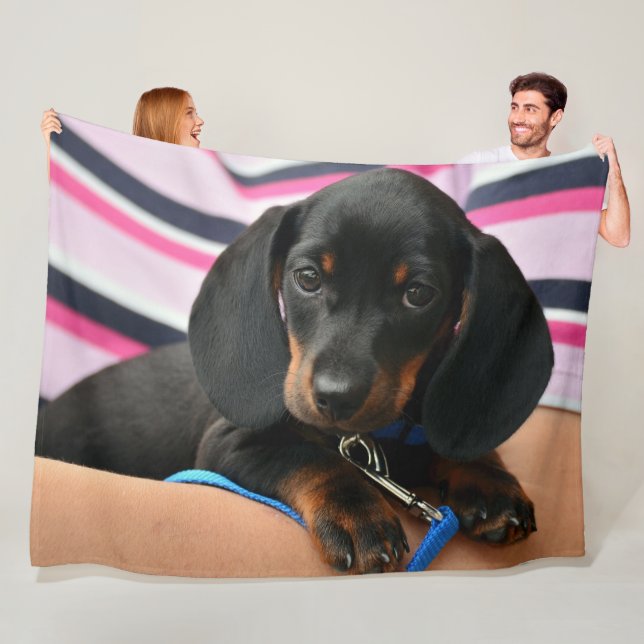 COUVERTURE POLAIRE PUPPY DE DACHSHUND (En situation)