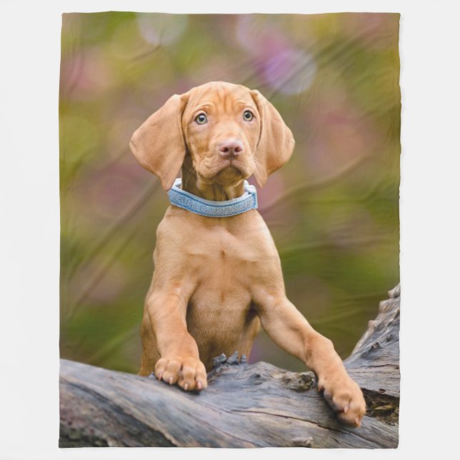 Couverture Polaire puppyeyed mignon de photo de chiot de chien de (Devant)