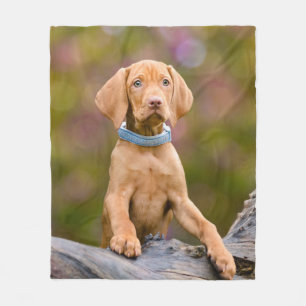 Couverture Polaire _-puppyeyed mignon de photo de chiot de chien de