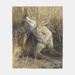 Couverture Polaire R17 Coyote