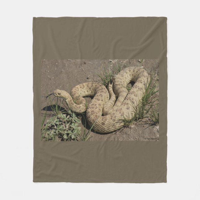 Couverture Polaire R6 Prairie Rattlesnake (Devant)