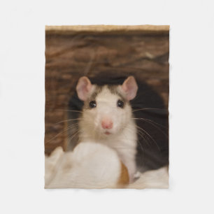 Couverture Polaire Rat mignon