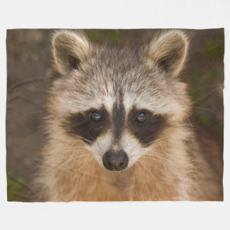Couverture Polaire Raton laveur