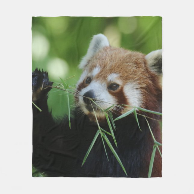 Couverture Polaire RedPanda 002 (Devant)