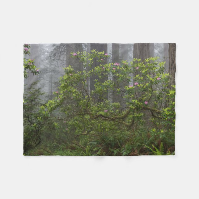 Couverture Polaire Rhododendron dans le parc national Redwood en Cali (Devant (Horizontal))