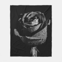 Rose noir 
