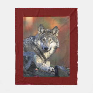 Couverture Polaire Sagesse de loup