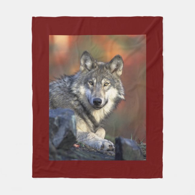 Couverture Polaire Sagesse de loup (Devant)