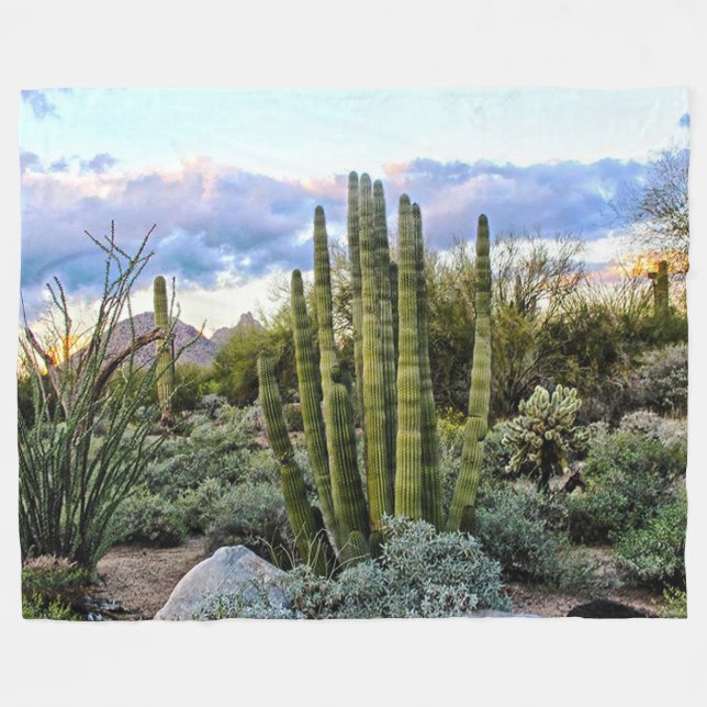 Couverture Polaire Scottsdale Succulent Sunset (Devant (Horizontal))