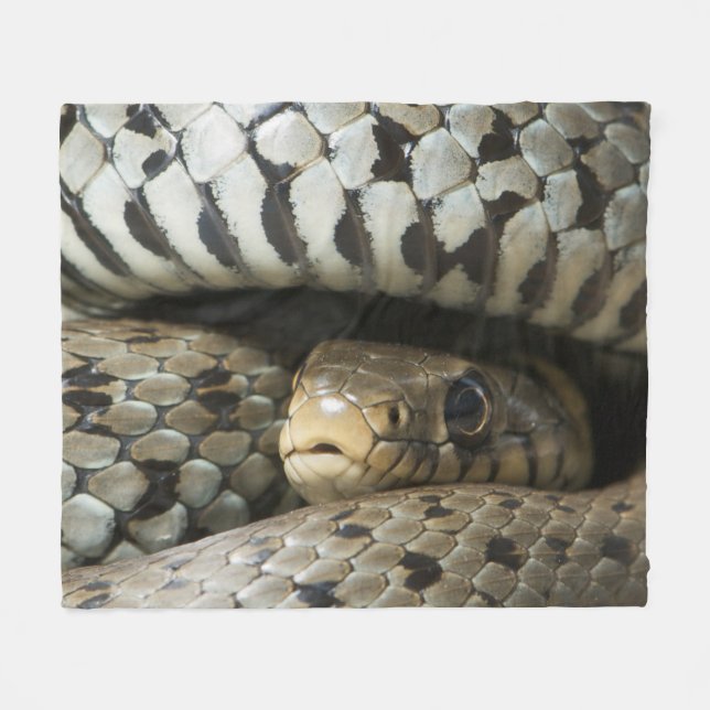 Couverture Polaire Serpent (Devant (Horizontal))