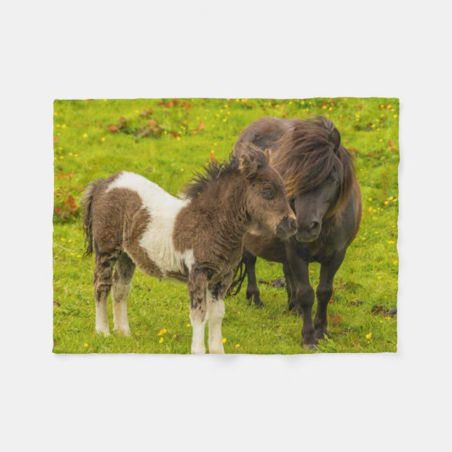 Couverture Polaire Shetland Pony mère et progéniture (Devant (Horizontal))