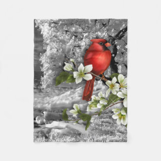 Couverture Polaire Signes de ressort