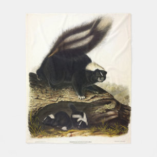 Couverture Polaire Skunk américaine commune ou Striped Skunk, par Aud