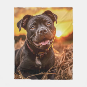 Couverture Polaire Staffie d'automne