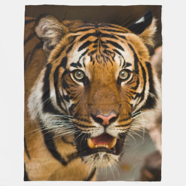 COUVERTURE POLAIRE TIGER (Devant)