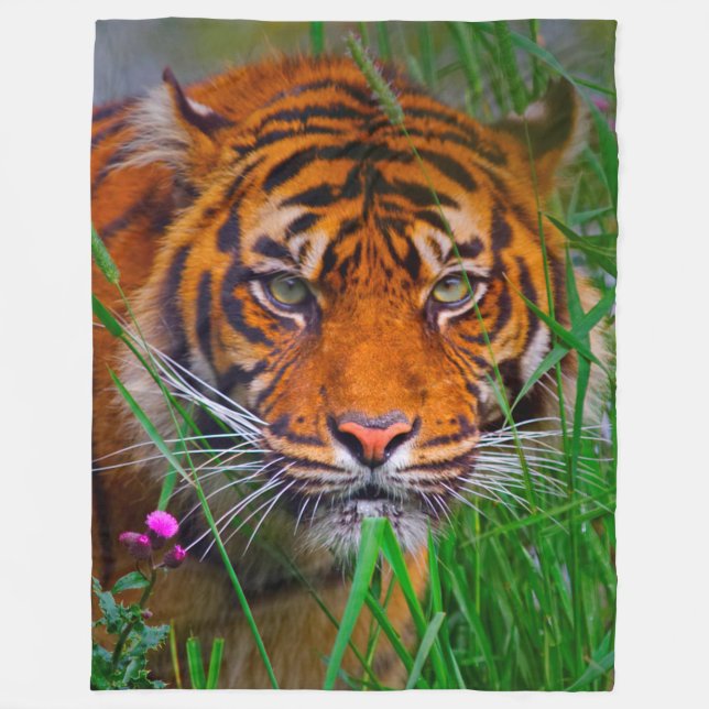 Couverture Polaire Tigre (Devant)
