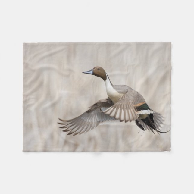 Couverture Polaire Tirage à l'ongle en vol (Devant (Horizontal))