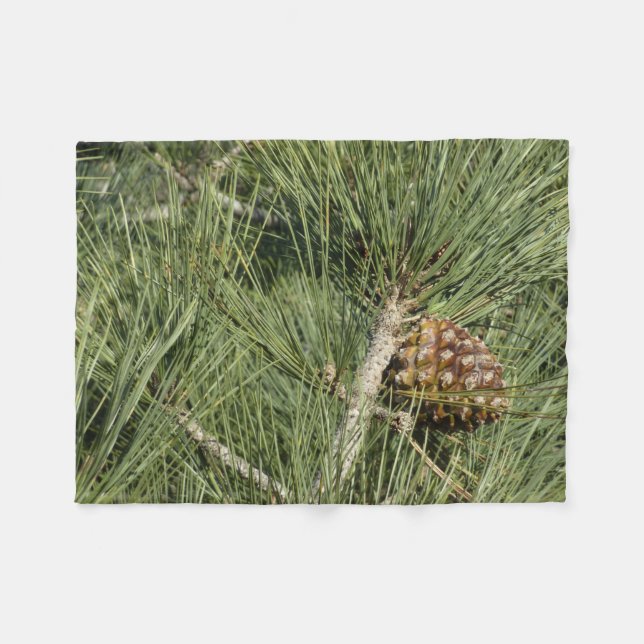 Couverture Polaire Torrey Pine Closeup California Botanical (Devant (Horizontal))