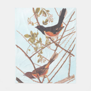 Couverture Polaire Towee Bunting Audubon Black and Orange Song Birds
