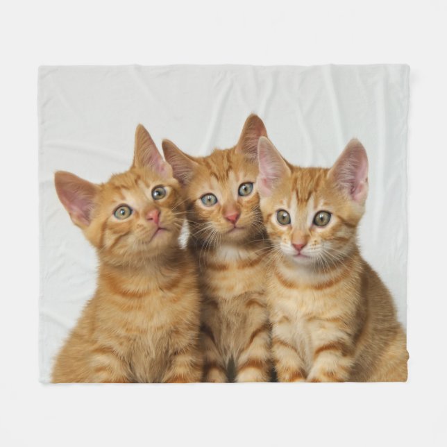Couverture Polaire Trois chatons mignons de gingembre côte à côte, (Devant (Horizontal))