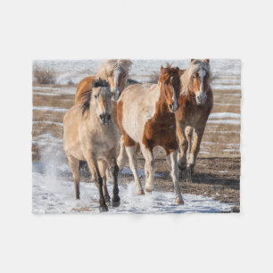 Couverture Polaire Troupeau de chevaux de race mixte courant dans la 